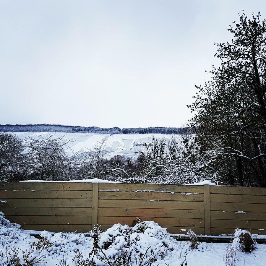 Gite Millesime Et Une Nuit Villers-sous-Châtillon Exteriör bild